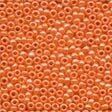 Glass Seed Bead 00423