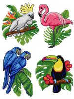 Exotic Birds Kit