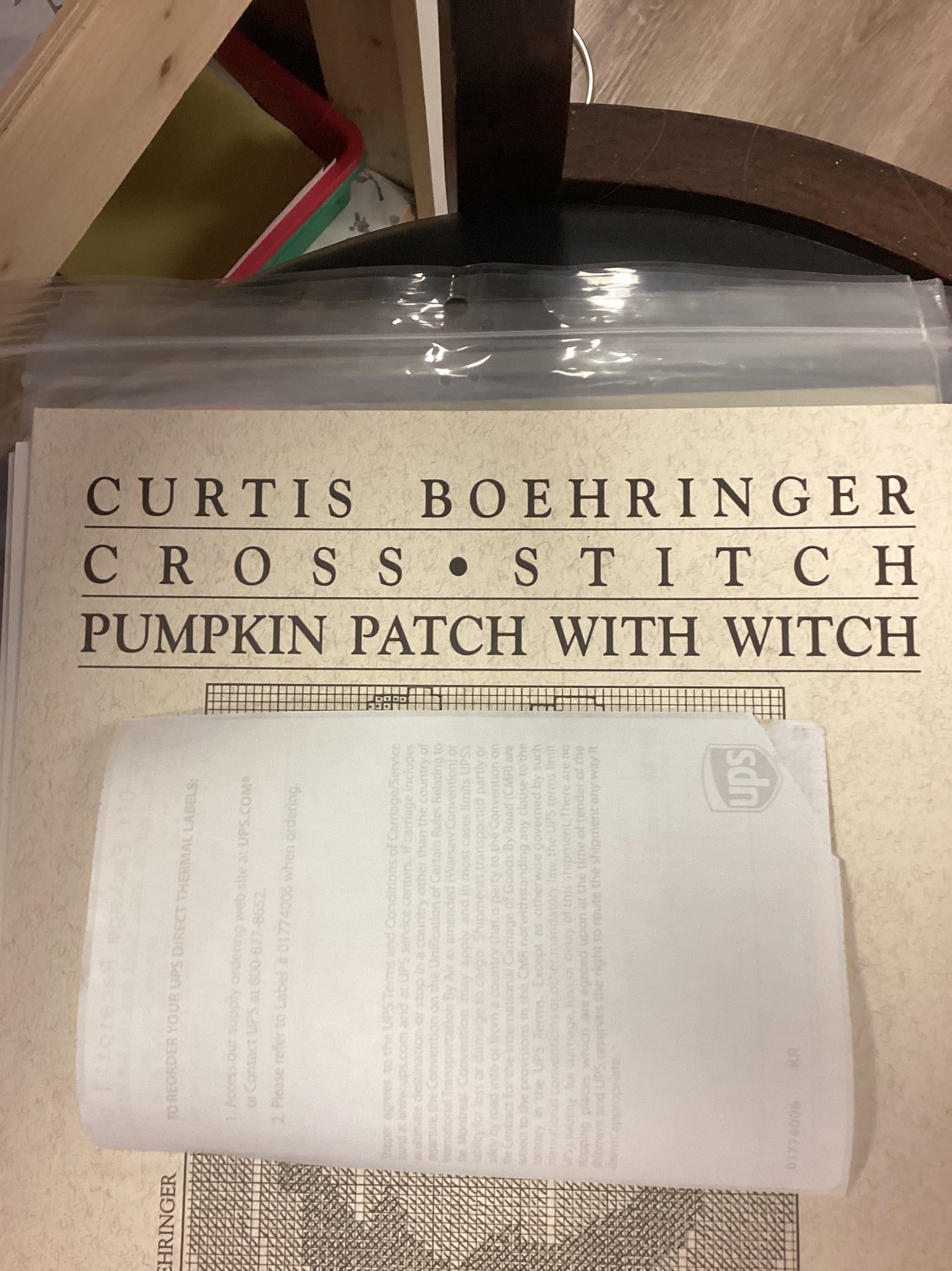 Pumpkins Patch with Witch