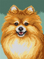 Pomeranian Needlepoint Canvas
