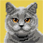 Gray Cat Needlepoint Kit