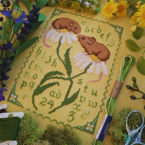 TRUNK SHOW Mouse Sampler