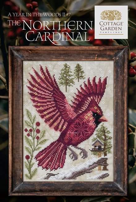 A Year in the Woods II: The Northern Cardinal