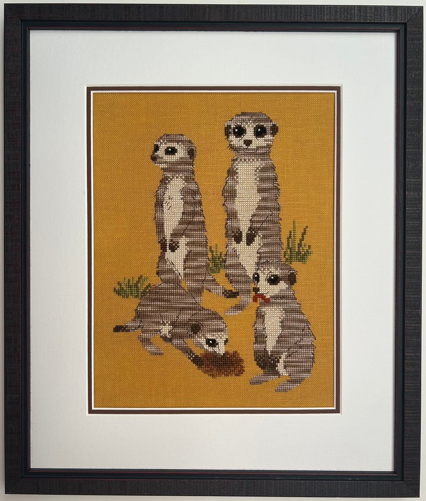 PREORDER Meerkat Gang