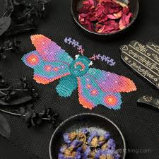 Rising Sun Moth