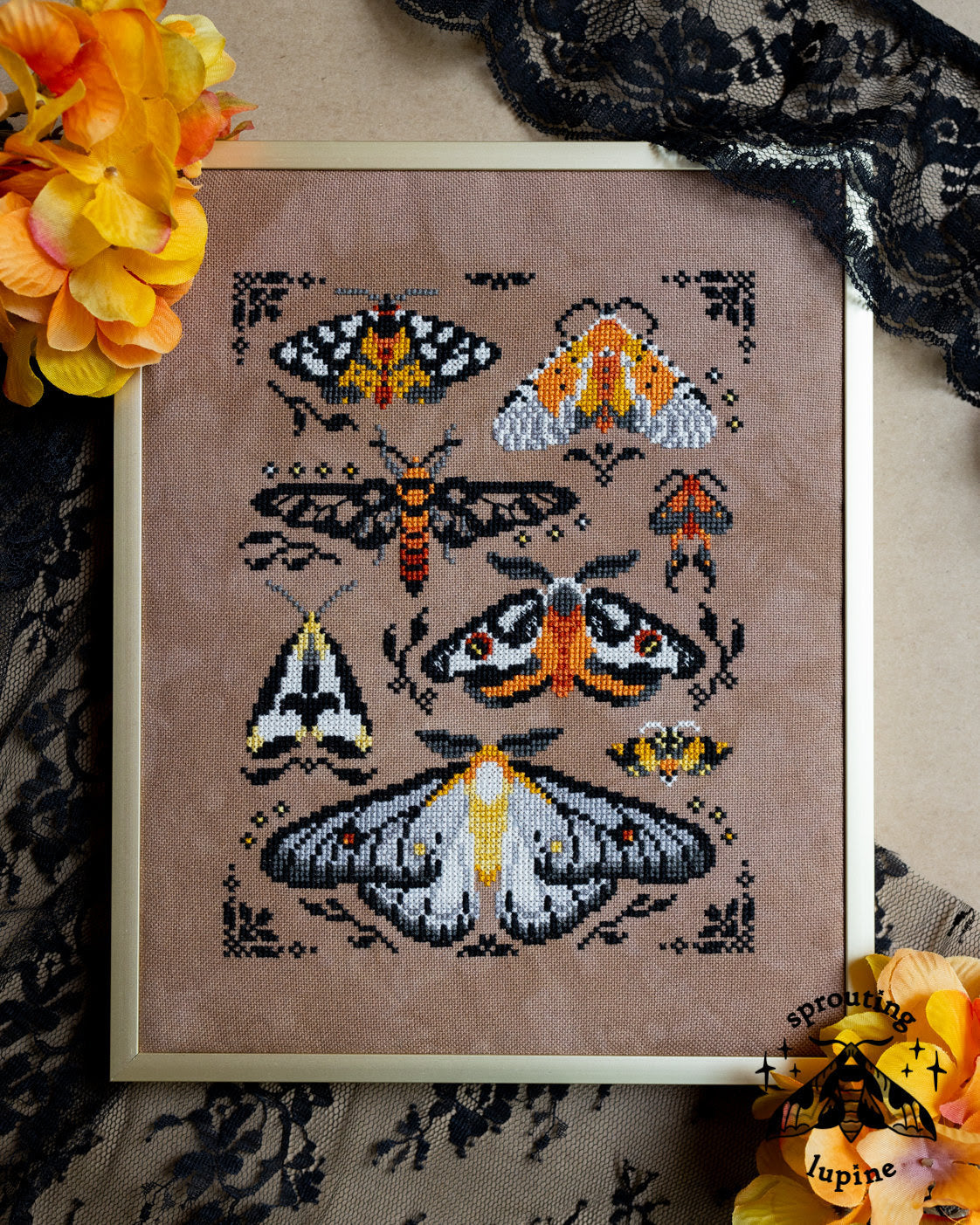 PREORDER Ochre Wings