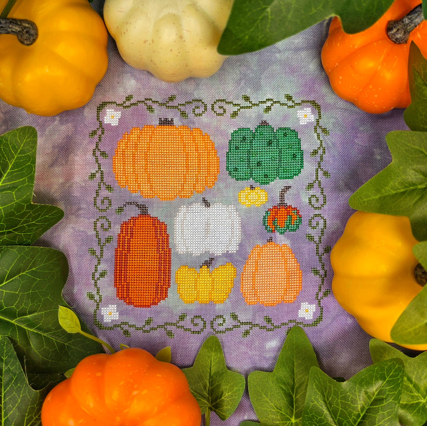 PREORDER Family Pumpkins