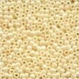 Seed Beads 00123