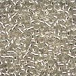 Seed Beads 02010