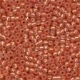 Seed Beads 02036