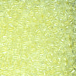 Glow in the Dark Seed Beads 02721