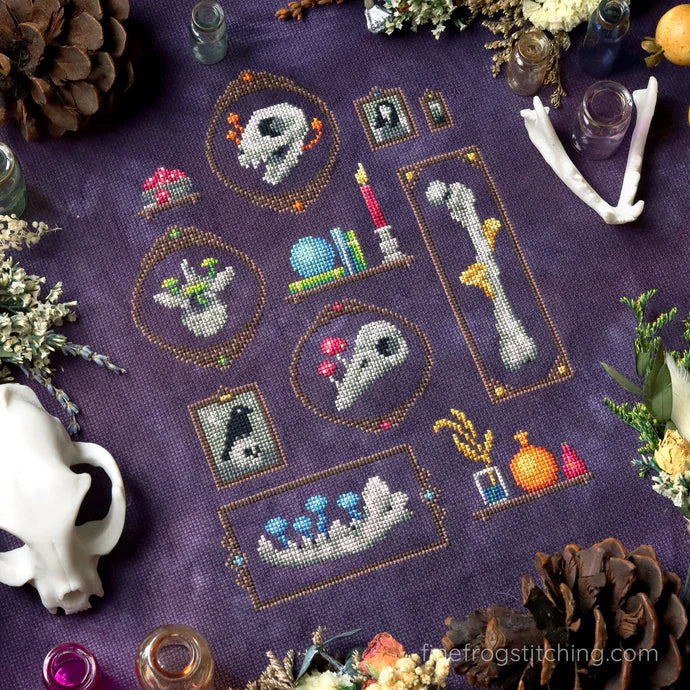 TRUNK SHOW Femurs and Fungi