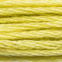 DMC floss 165