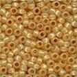 Size 8 Glass Beads 18822