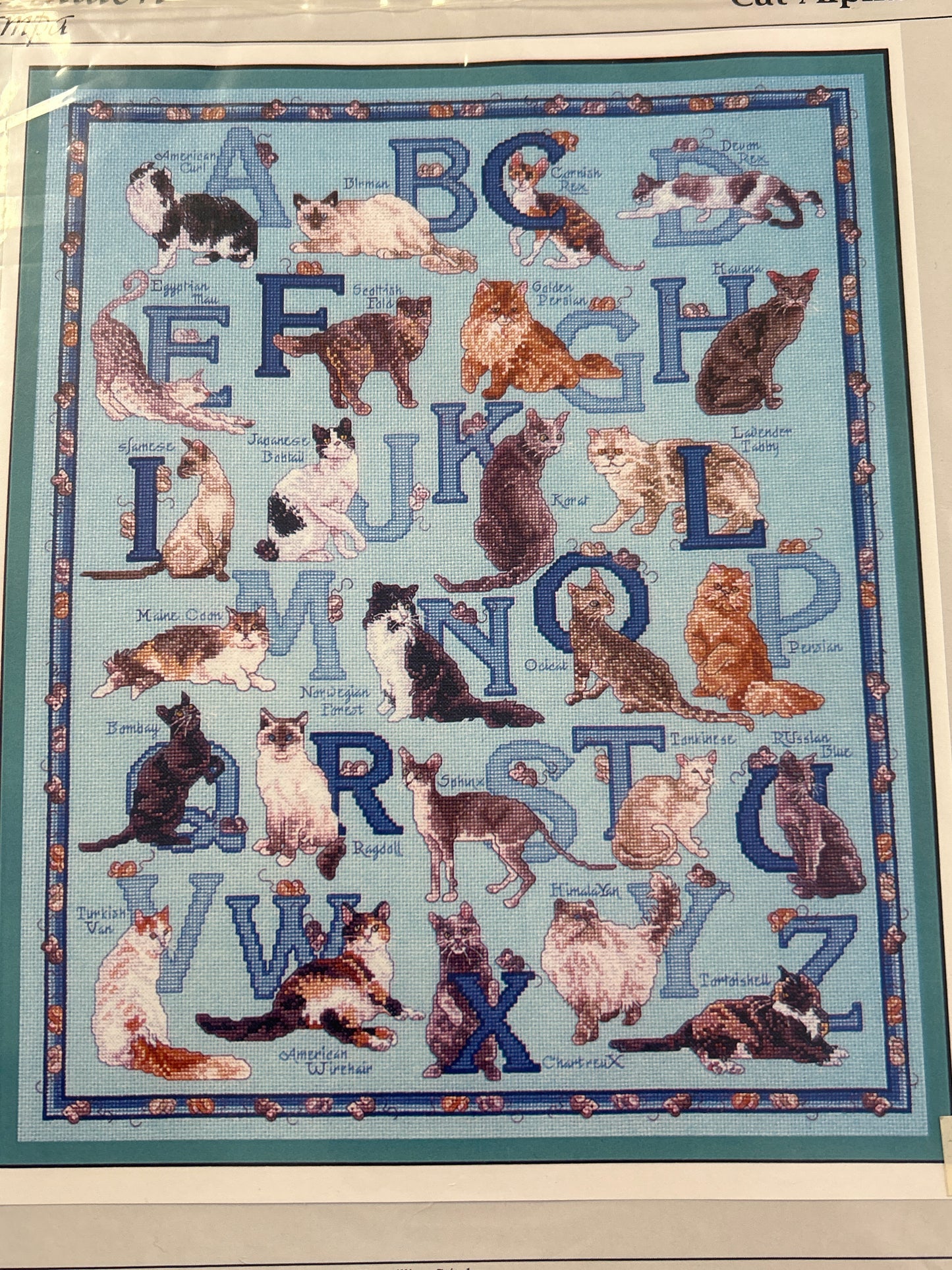 Cat Alphabet