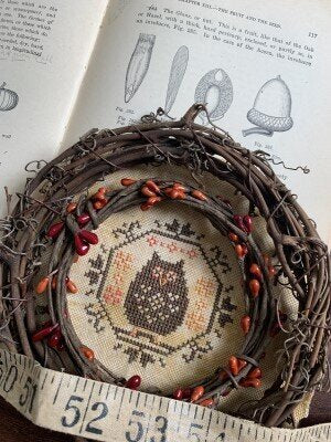 Quirky Quaker Owl