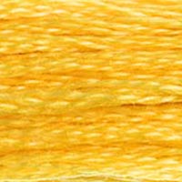 DMC floss 725