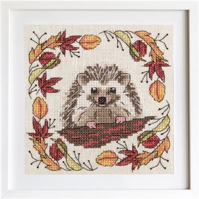 Woodland Hedgehog