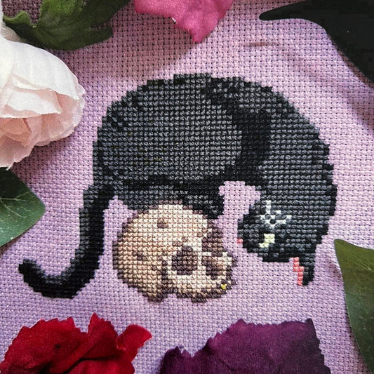 Cat and Skull