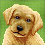 Yellow Labrador Needlepoint Kit