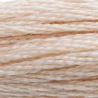 DMC floss 543