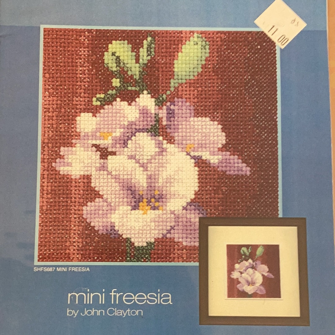 Mini Freesia