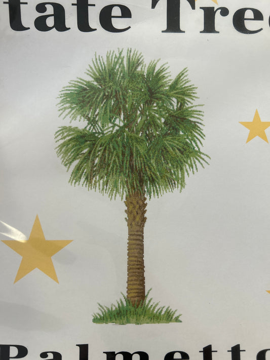 State Tree Palmetto