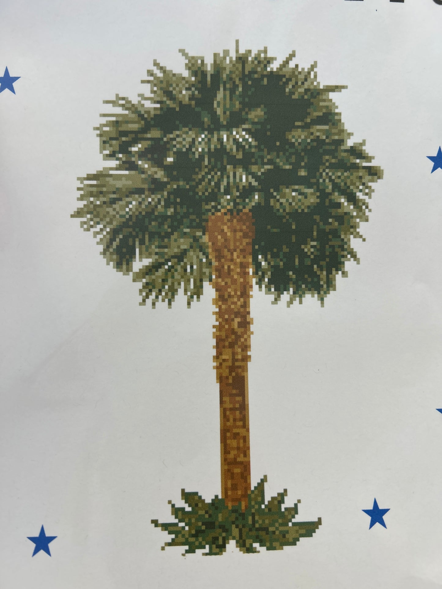 Palmetto Tree