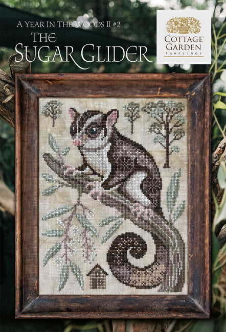 A Year in the Woods II: The Sugar Glider