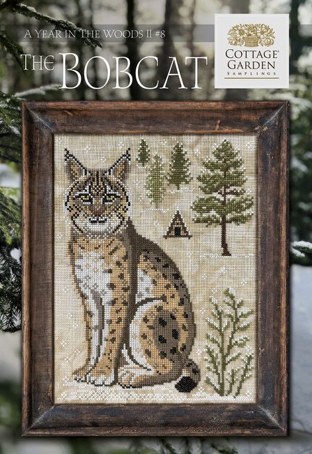 A Year in the Woods II: The Bobcat