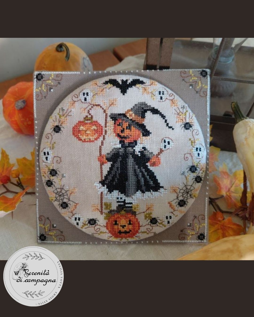 PREORDER STREGA ZUCCA