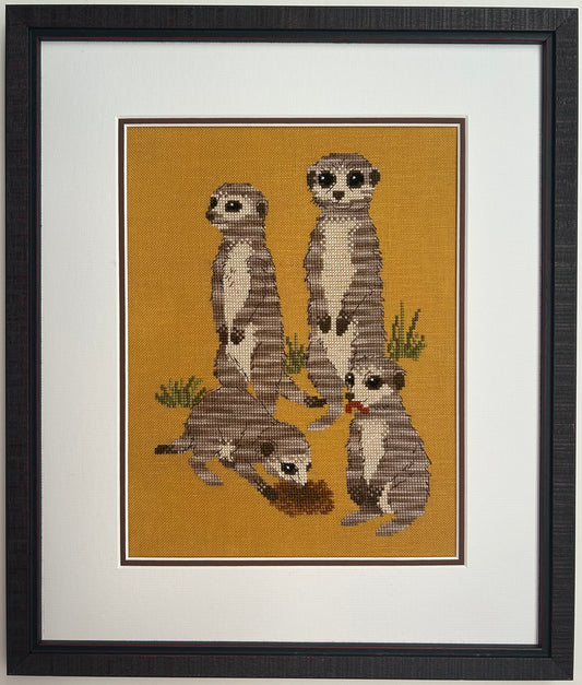 Meerkat Gang