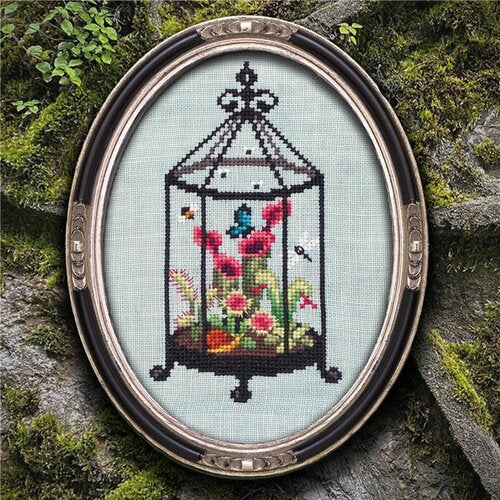 Carnivorous Terrarium