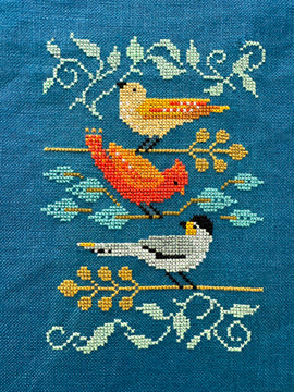 Peek A Boo Birds