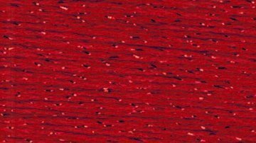 SP08- Red