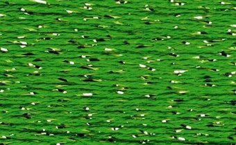 SP112- Spring Green