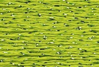 SP146- Apple Green