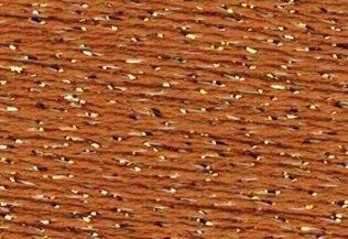 SP155- Harvest Gold