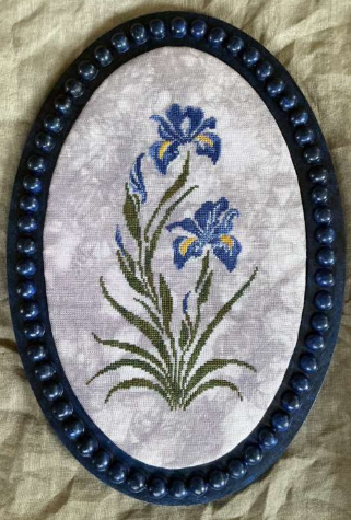 Blue Iris