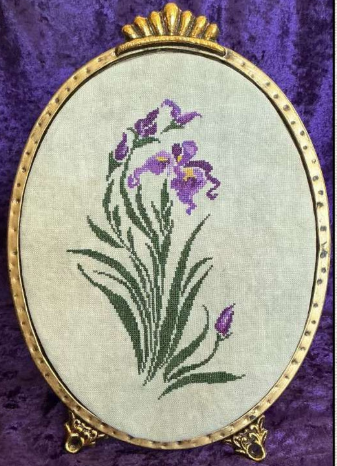 Purple Iris