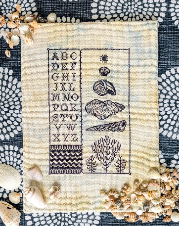 PREORDER Low Tide Sampler