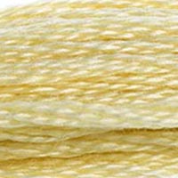 DMC floss 677