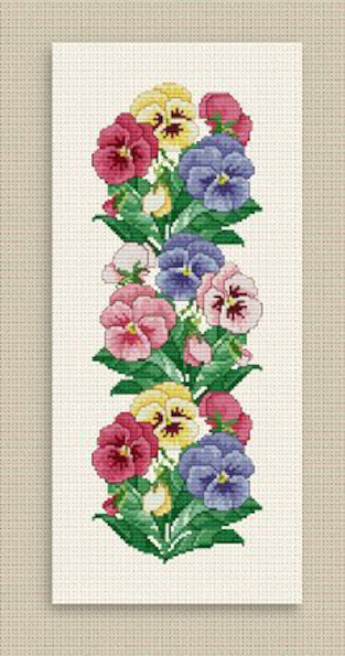 Pansy Border