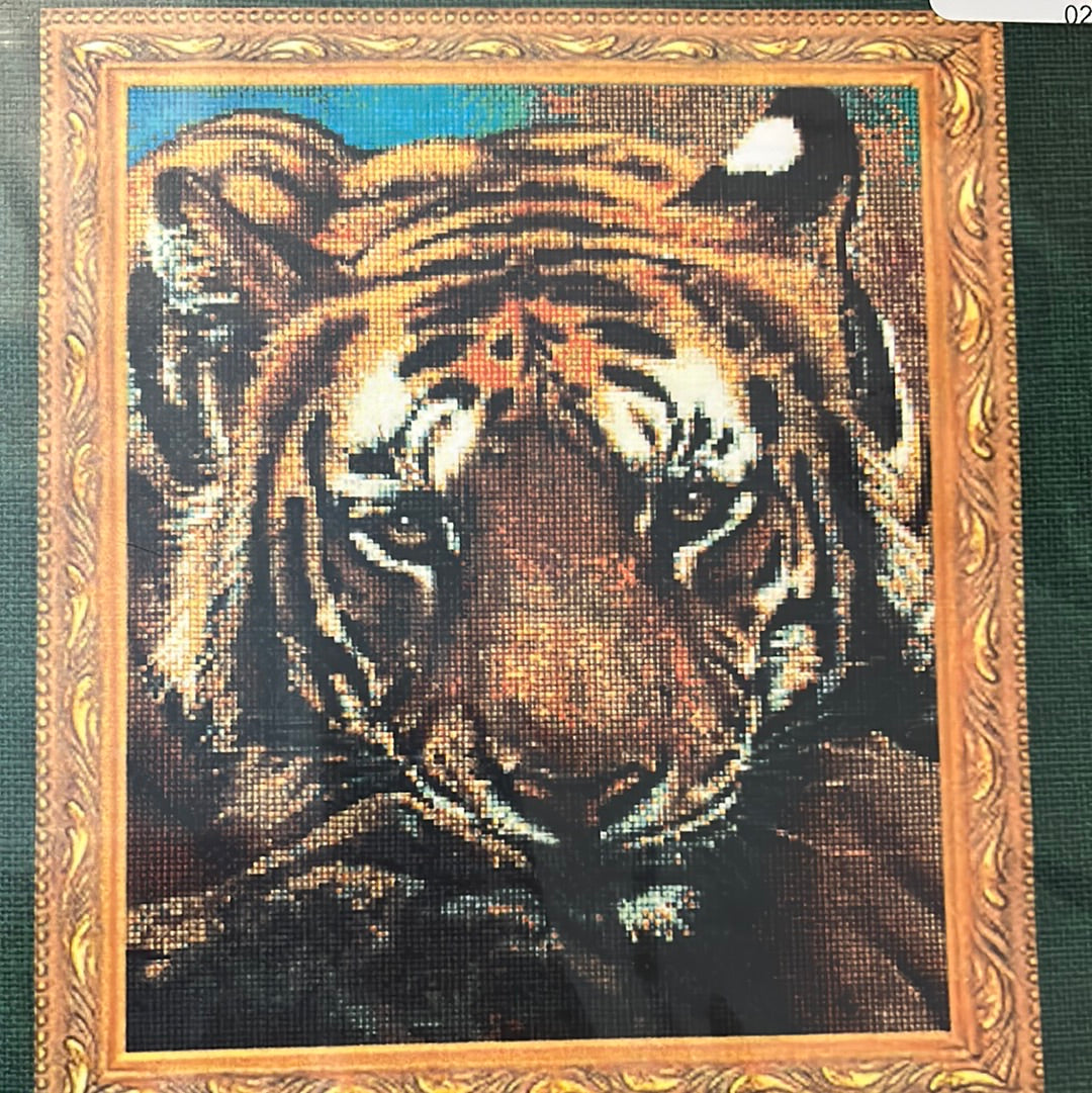 Siberian Tiger