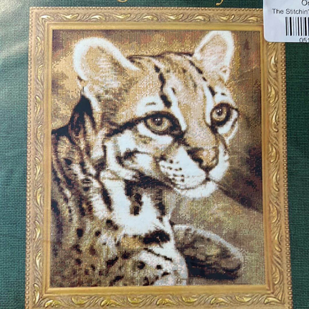 Ocelot