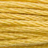 DMC floss 3821