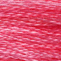 DMC floss 956