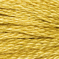 DMC floss 3820
