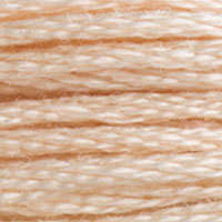 DMC floss 3774