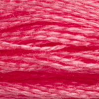 DMC floss 893